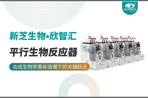 培养菌株和评估工艺参数影响太难太慢？平行生物反应器提供关键解决方案！